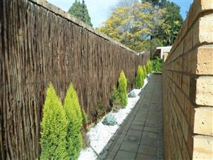 1 Bedroom Garden Cottage in Groenkloof