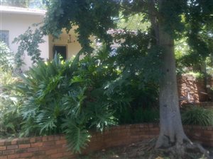 3 Bed House in Rietfontein