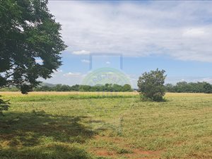 1 ha Farm in Hartbeespoort Dam