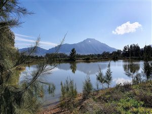 55 ha Farm in Tulbagh