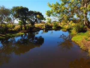 2 Bed Apartment in Oubaai and surrounds