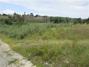 4935 m² Land available in Pacaltsdorp