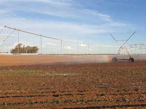 381 ha Farm in Delareyville