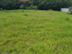 949 m² Land available in Veld En Vlei