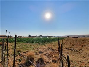 2 ha Farm in Helderblom