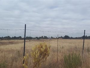 4 ha Land available in Quaggafontein