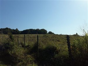 17 ha Land available in Oslo Beach