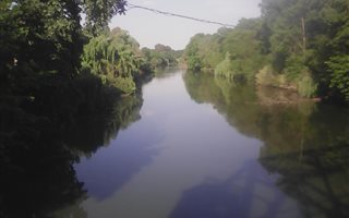 10.2 ha Farm in Three Rivers East