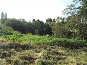 4070 m² Land available in Ashley