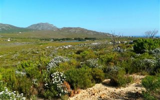 8.6 ha Smallholding in Pringle Bay