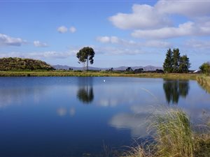 76 ha Farm in Robertson