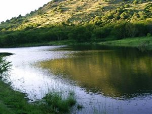 1196 ha Farm in Queenstown