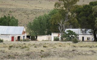 2677 ha Farm in Middelburg