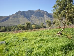 594 m² Land available in La Pastorale