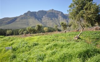 594 m² Land available in La Pastorale