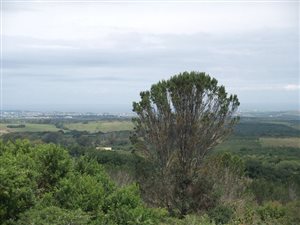 2151 m² Land available in Bathurst and Surrounds