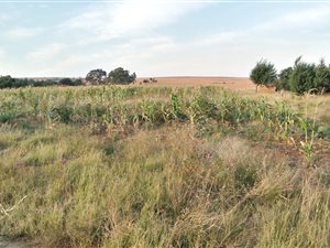 21.4 ha Land available in Evaton