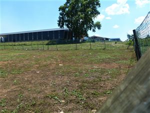 1070 m² Land available in Merrivale