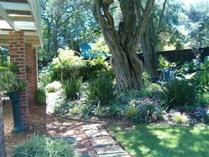 3 Bed House in Modderfontein