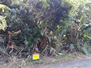 2153 m² Land available in Trafalgar