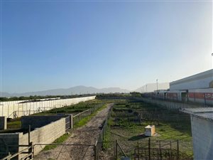 8000 m² Farm in Philippi