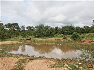 465 ha Farm in Hoedspruit