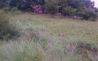 2295 m² Land available in Mooi River