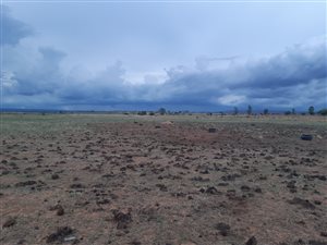 35 ha Farm in Modimolle
