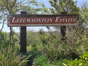 1 ha Land available in Leeuwfontein Estate