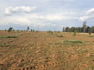264 ha Farm in Vryburg