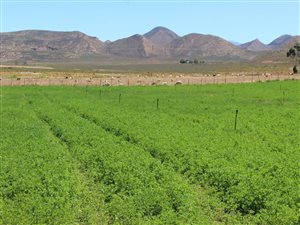 32 ha Farm in Touws Rivier