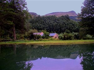 1 Bedroom Garden Cottage in Dargle