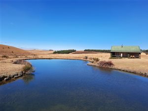 170 ha Farm in Dullstroom