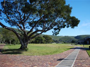698 m² Land available in Lake Brenton