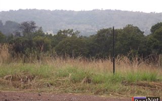 3.5 ha Land available in Tiegerpoort