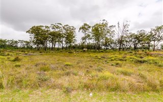 641 m² Land available in Wedgewood Golf Estate