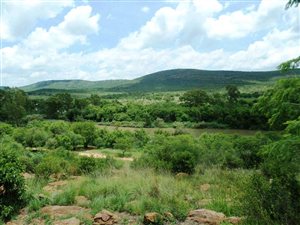 5 ha Farm in Vredefort