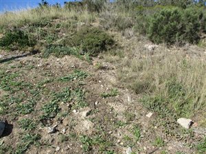 753 m² Land available in Seemeeu Park