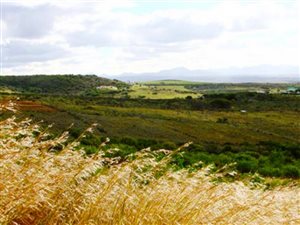 827 m² Land available in Island View