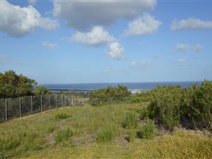 1063 m² Land available in Plettenberg Bay