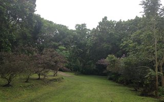 3000 m² Land available in Palm Beach