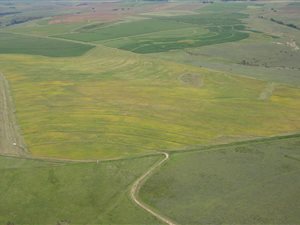 399.7 ha Farm in Bethlehem