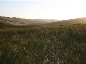 1500 m² Land available in Brackenridge