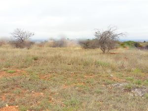 1644 m² Land available in Sterpark