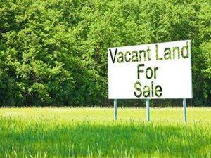 1750 m² Land available in Clydesdale