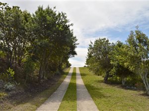4000 m² Land available in Pezula Private Estate