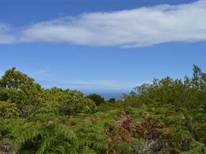 4000 m² Land available in Pezula Private Estate