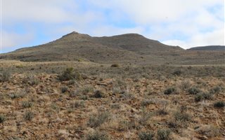 10400 ha Farm in Laingsburg