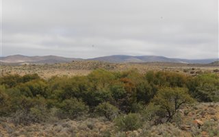 10400 ha Farm in Laingsburg