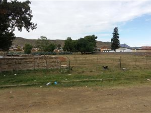3808 m² Land available in Sterkstroom